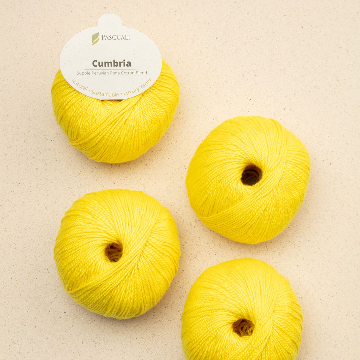 pascuali-cumbria-handstrickgarn-pima-baumwolle-mit-bambus-seidig-gl-nzend image 5