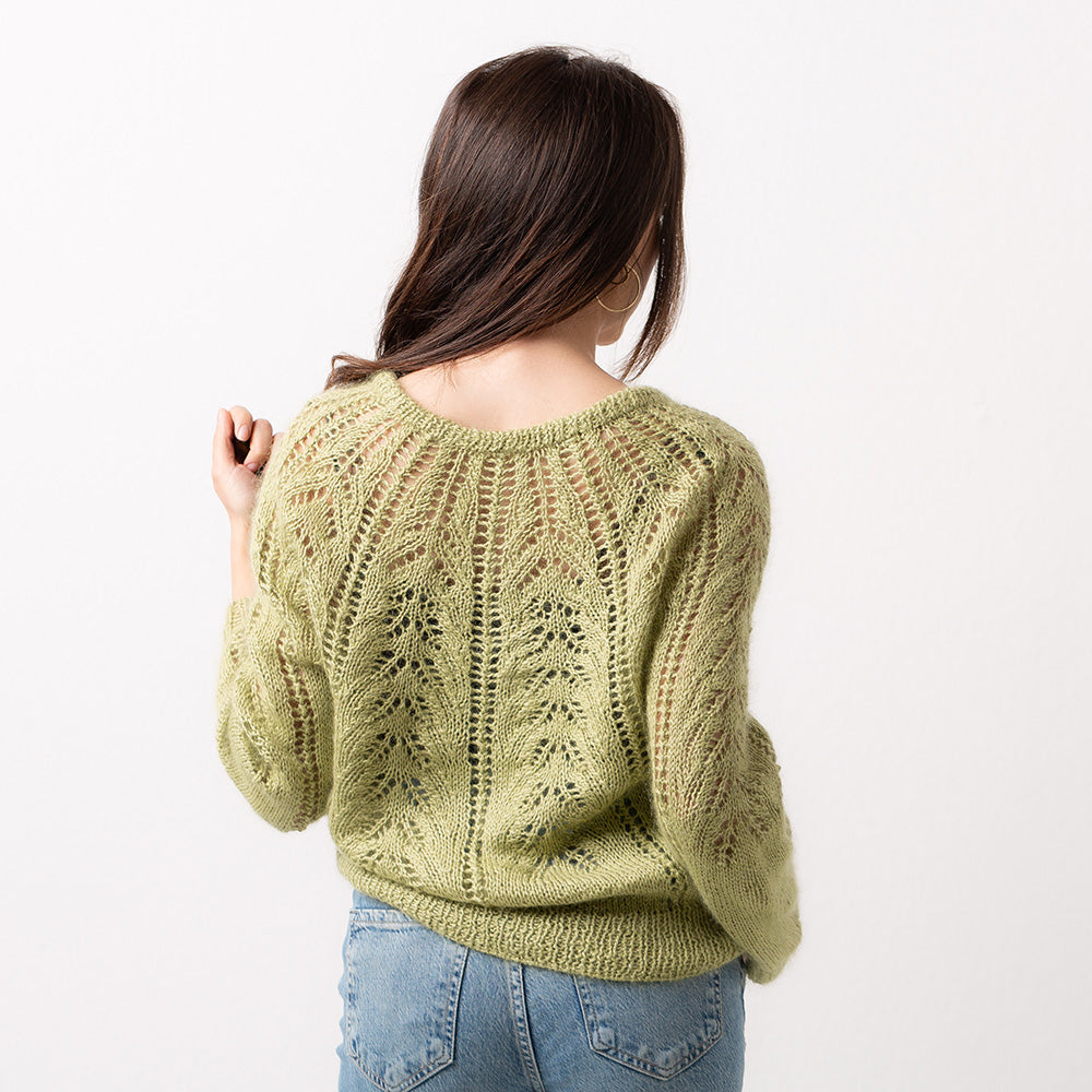 pascuali-cardigan-eyed-fern-strickanleitung image 3