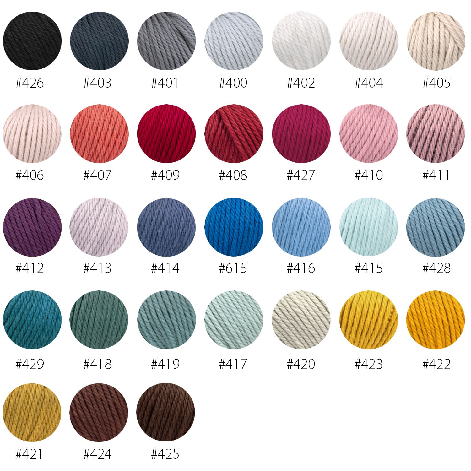 pascuali-maximo-strickgarn-100-merinowolle-chunky image 2