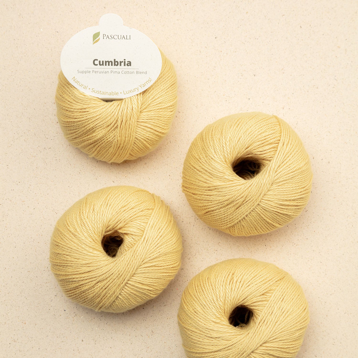 pascuali-cumbria-handstrickgarn-pima-baumwolle-mit-bambus-seidig-gl-nzend image 4