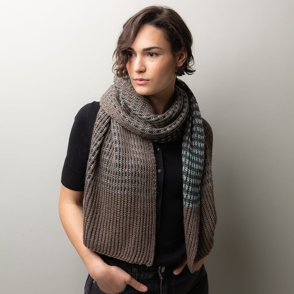 pascuali-strickanleitung-color-echo-scarf-schal-pdf-deutsch image 2