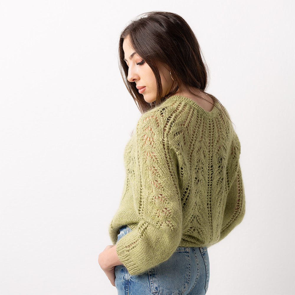 pascuali-cardigan-eyed-fern-strickanleitung image 2