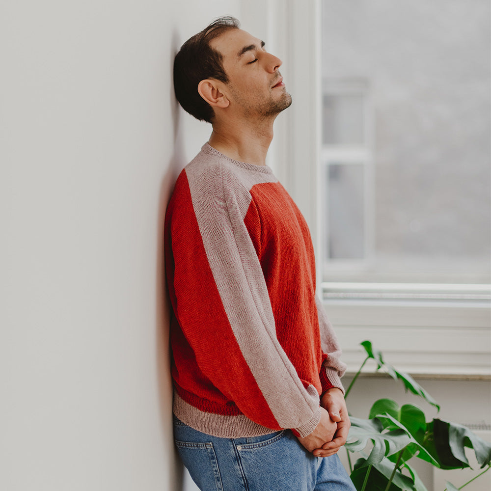 pascuali-strickanleitung-unisex-pullover-alero-zweifarbig image 6