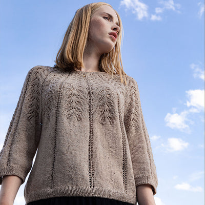 pascuali-fabiana-pullover-strickanleitung-englisch-top-down-lace-pullover-mit-3- image 5