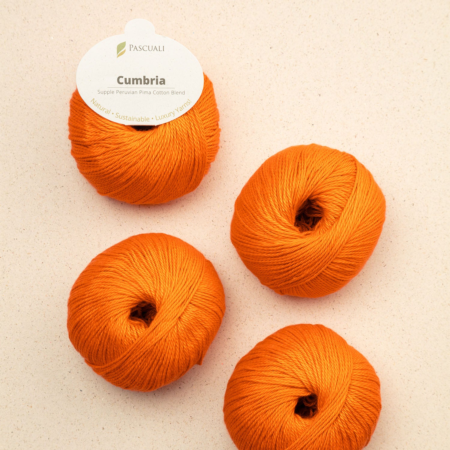 pascuali-cumbria-handstrickgarn-pima-baumwolle-mit-bambus-seidig-gl-nzend image 6