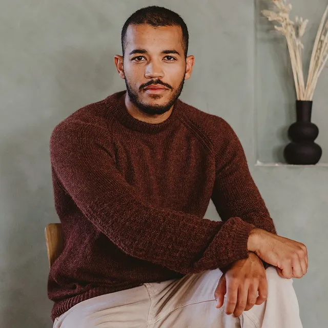 pascuali-strickanleitung-pullover-finus-top-down-raglan image 1
