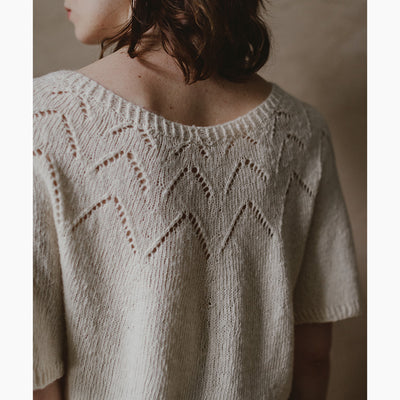 pascuali-pattern-alaka-shirt-strickanleitung-kurzarm-top-down image 2