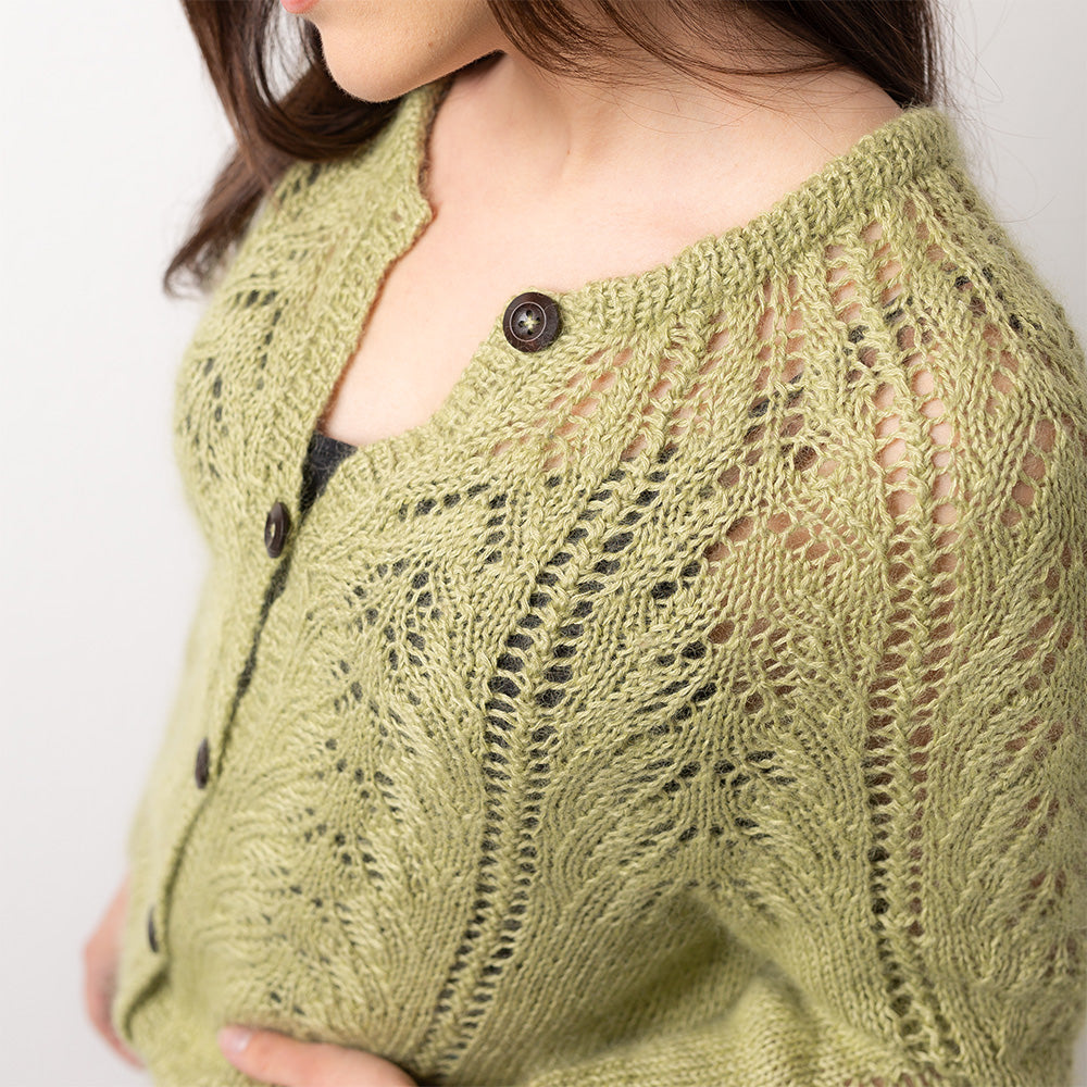 pascuali-cardigan-eyed-fern-strickanleitung image 4