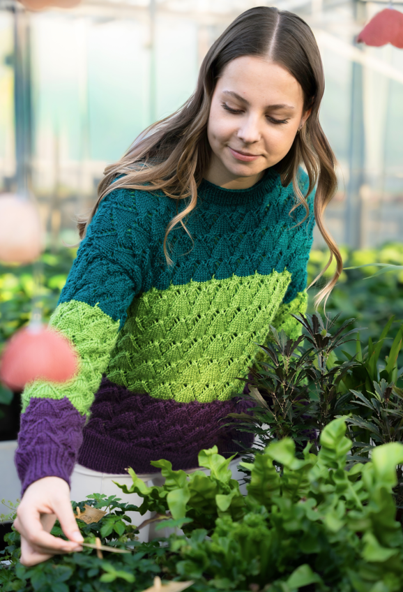 gr-ndl-anleitung-salvia-sweater-strickanleitung-pullover image 1