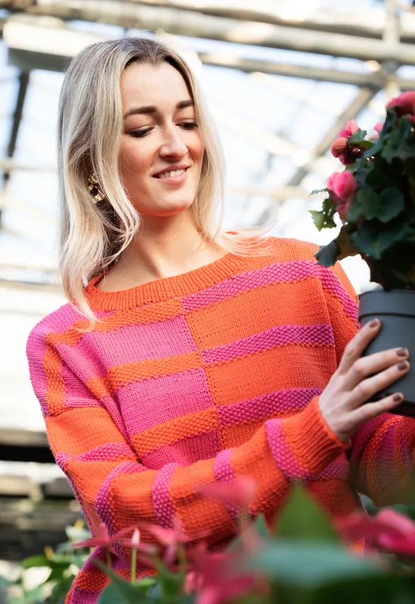 gr-ndl-strickanleitung-corallo-sweater-colour-blocking-pullover image 1