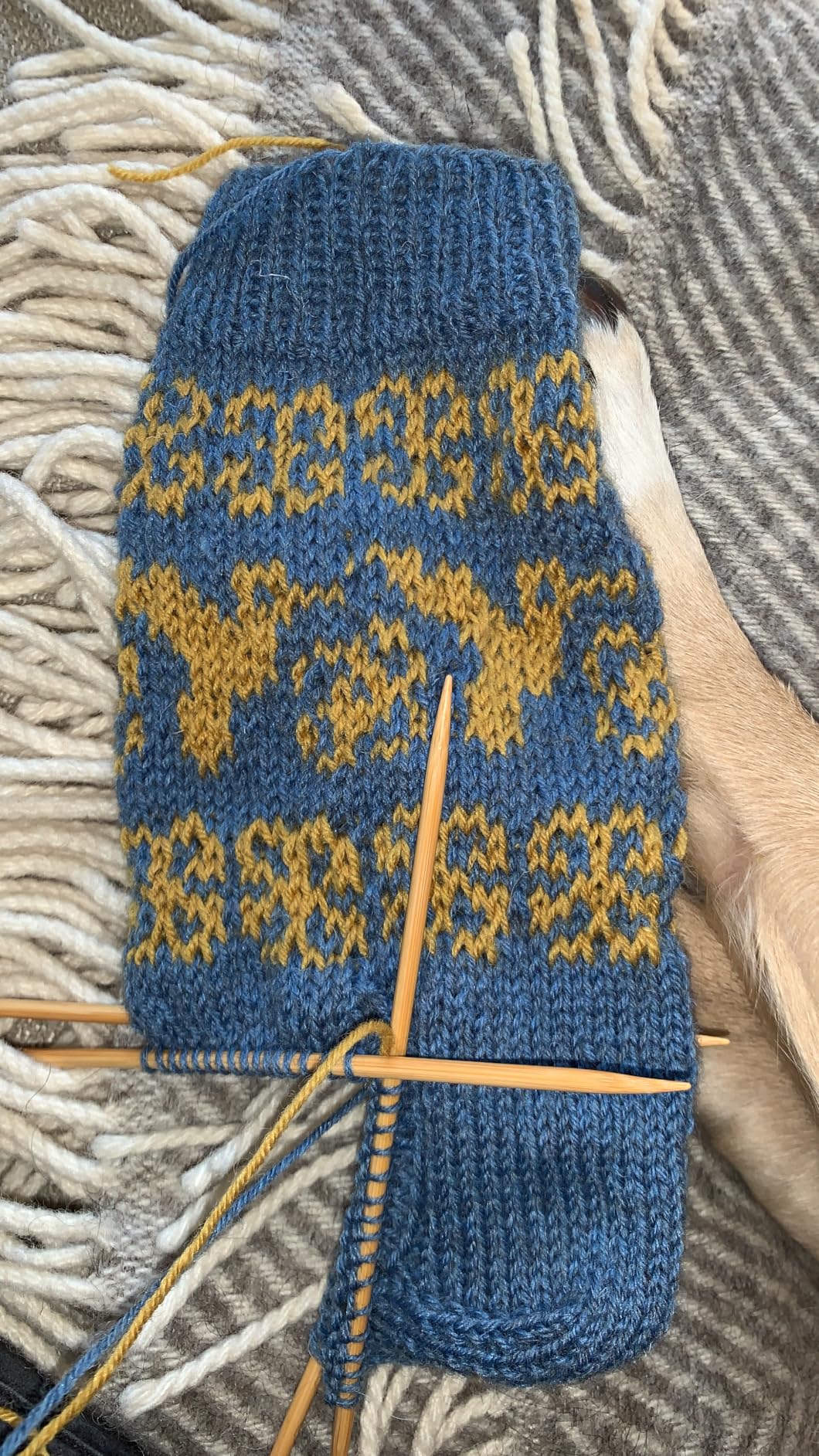 Gute Qualität, strickt sich angenehm
