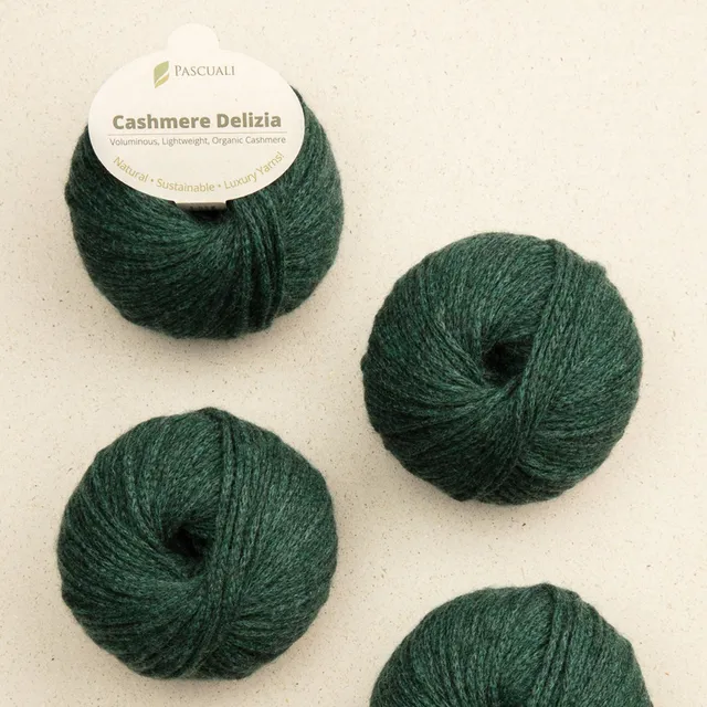 pascuali-cashmere-delizia-100-kaschmirwolle-chenille-garn image 1