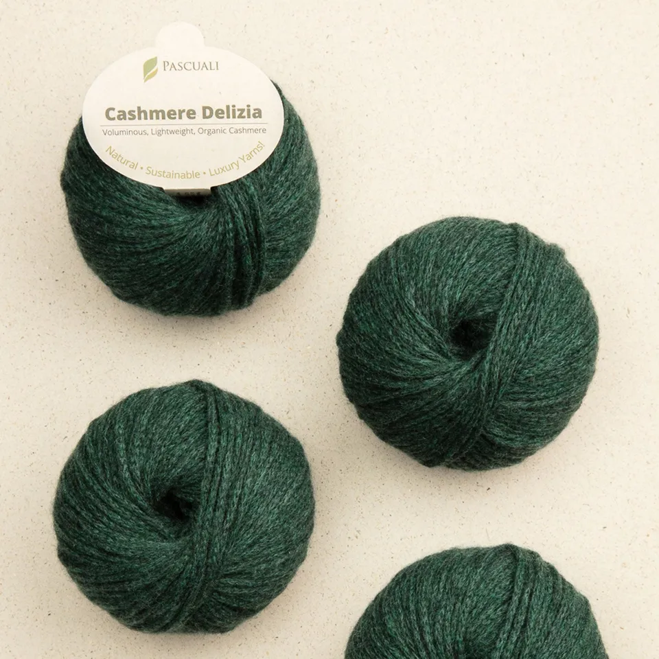 pascuali-cashmere-delizia-100-kaschmirwolle-chenille-garn image 1